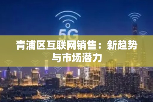 青浦区互联网销售：新趋势与市场潜力