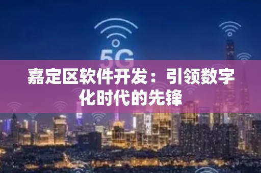 嘉定区软件开发：引领数字化时代的先锋