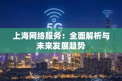 上海网络服务：全面解析与未来发展趋势