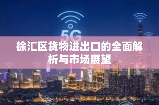 徐汇区货物进出口的全面解析与市场展望