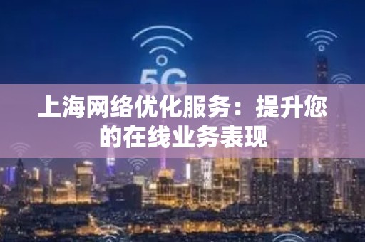 上海网络优化服务：提升您的在线业务表现