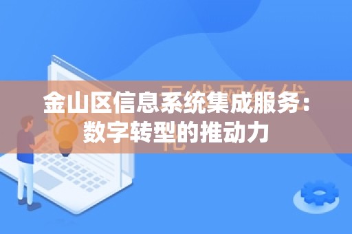 金山区信息系统集成服务：数字转型的推动力