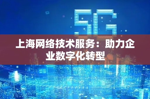 上海网络技术服务：助力企业数字化转型