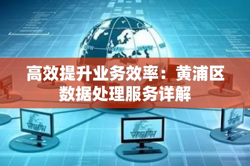 高效提升业务效率：黄浦区数据处理服务详解