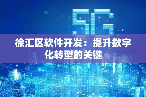 徐汇区软件开发：提升数字化转型的关键