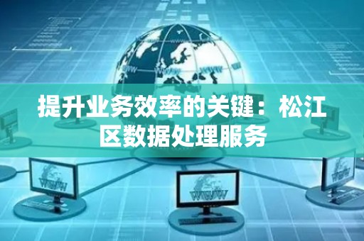 提升业务效率的关键：松江区数据处理服务